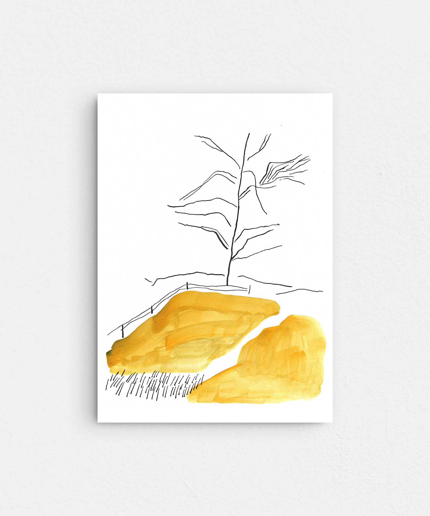 Карпатська пам'ять