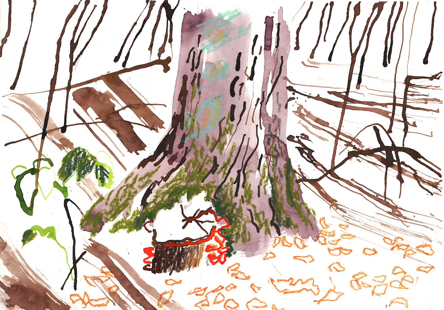 Коріння і памʼять