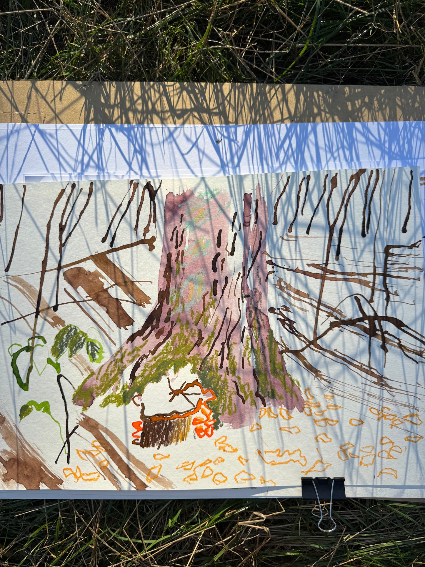 Коріння і памʼять