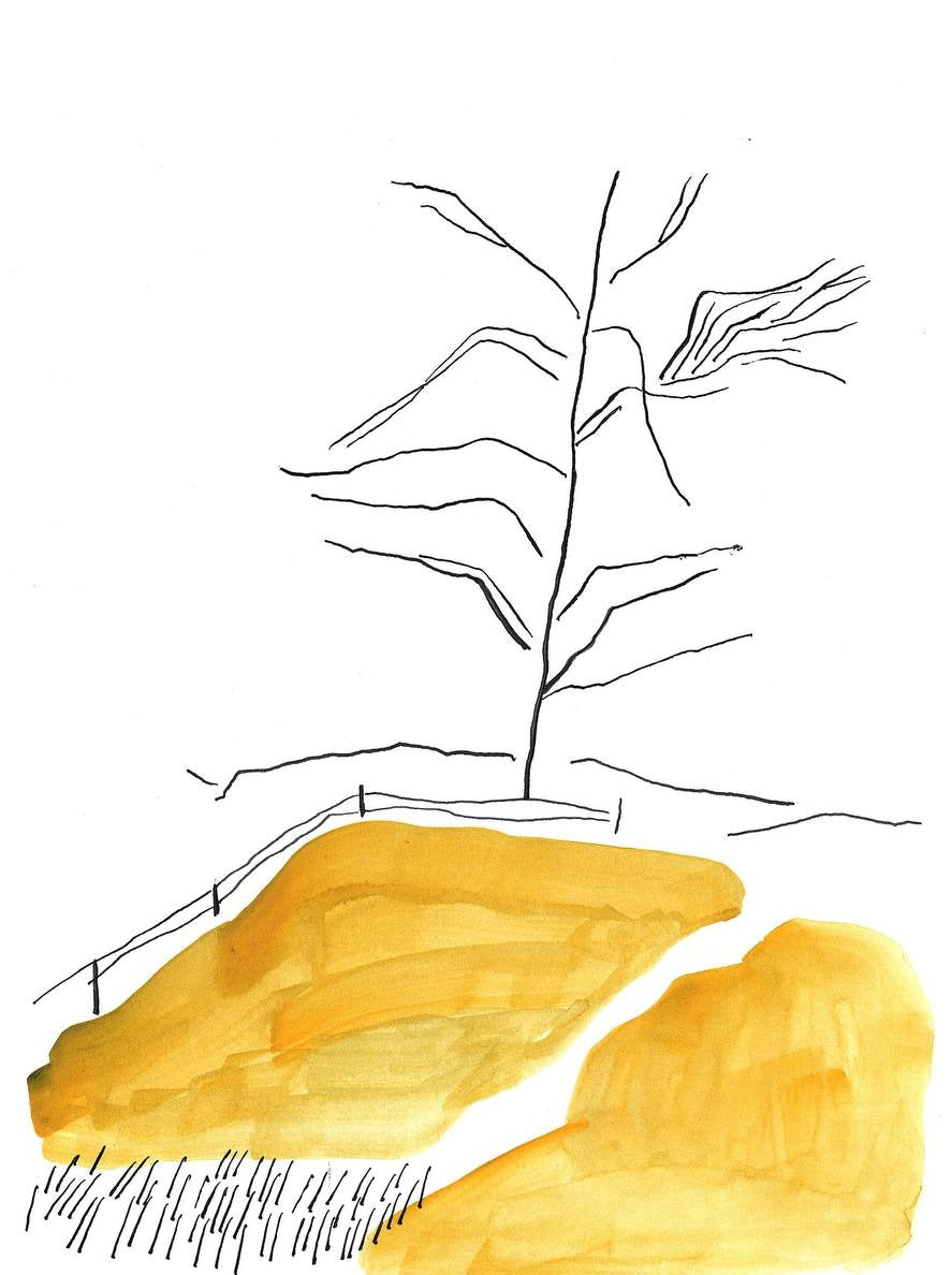 Карпатська пам'ять